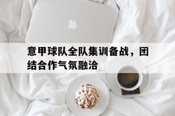 意甲球队全队集训备战，团结合作气氛融洽的简单介绍